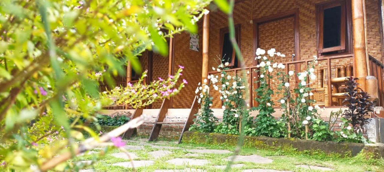 Mysha Guest House-Lombok Tetebatu Exterior foto
