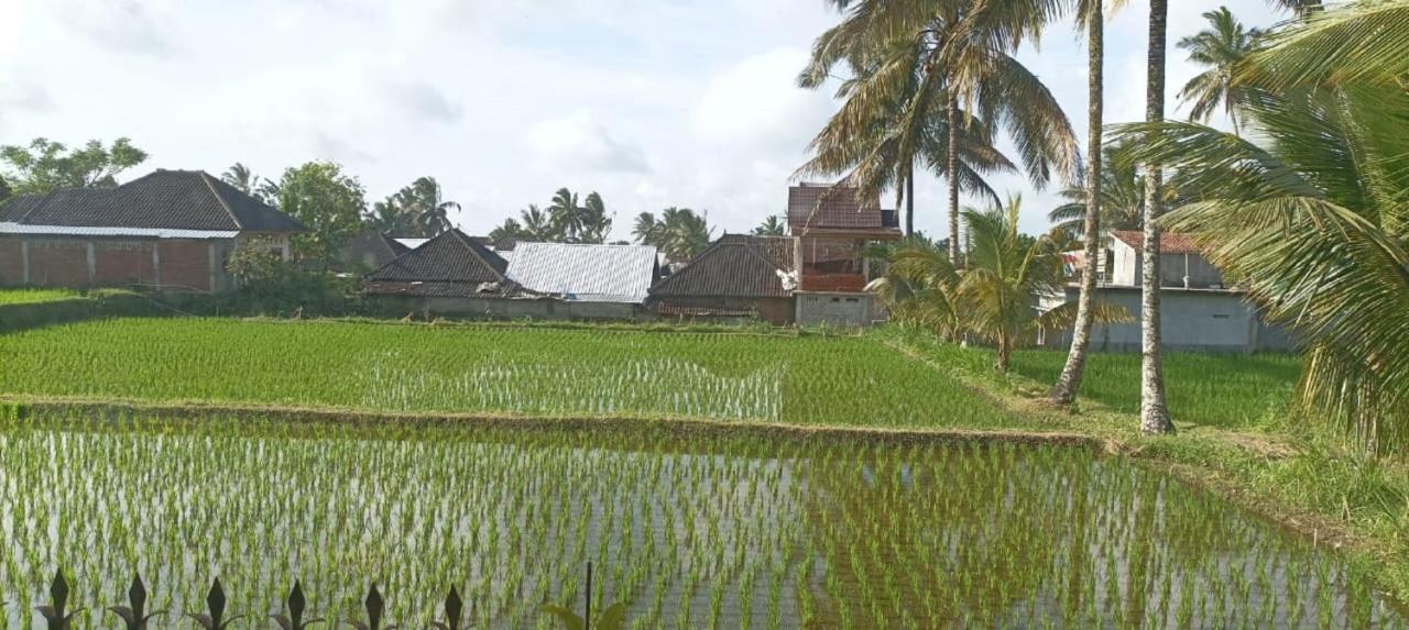 Mysha Guest House-Lombok Tetebatu Exterior foto