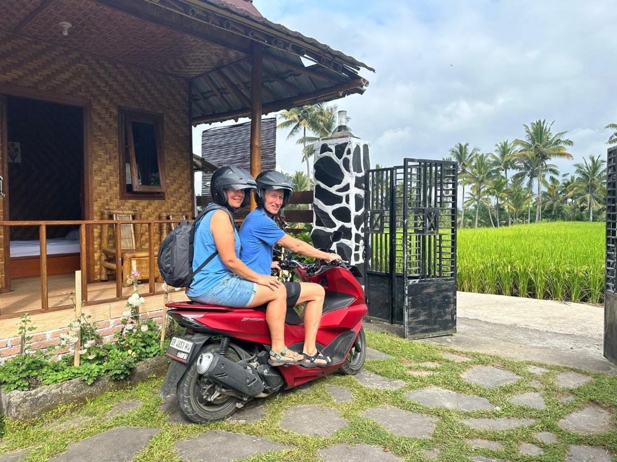 Mysha Guest House-Lombok Tetebatu Exterior foto